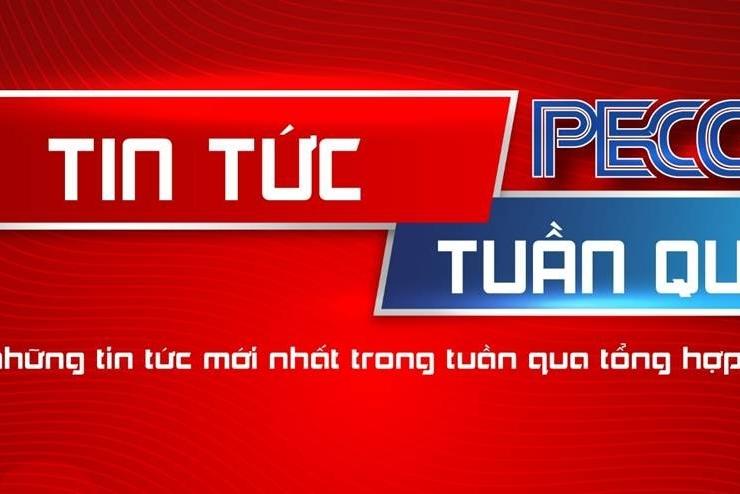 BẢN TIN PECC2 - TUẦN 11 NĂM 2026